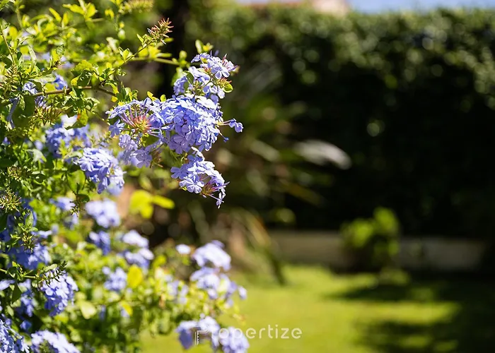 Family Retreat By Propertize *