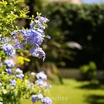 Family Retreat By Propertize Villa Olbia